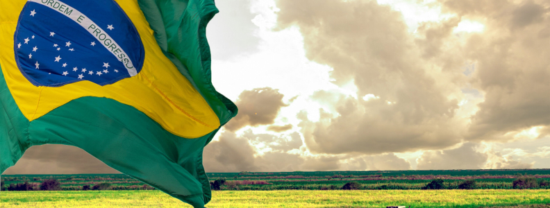 Vantagens comparativas do agronegócio brasileiro